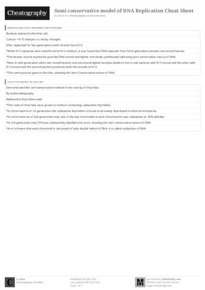 PDF (Black & white) — Style 3
