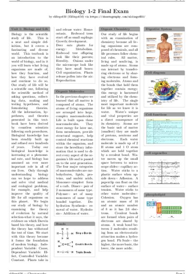 LaTeX (Compiled PDF)