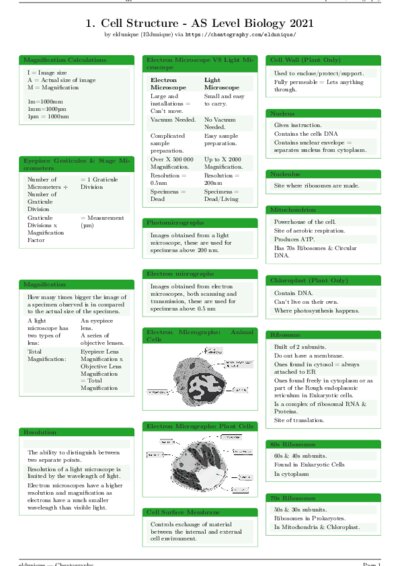 LaTeX (Compiled PDF)