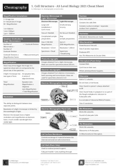 PDF (Black & white) — Style 1