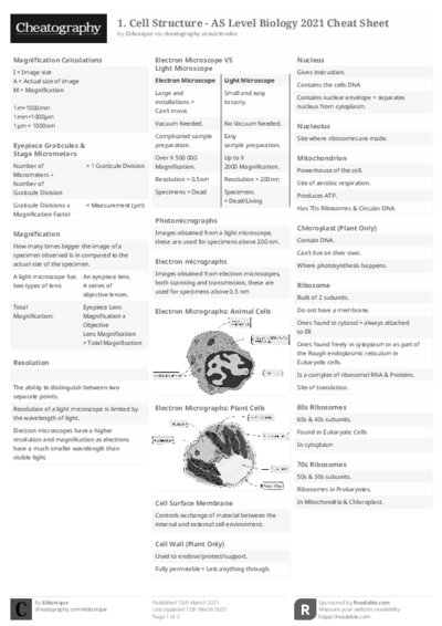 PDF (Black & white) — Style 2