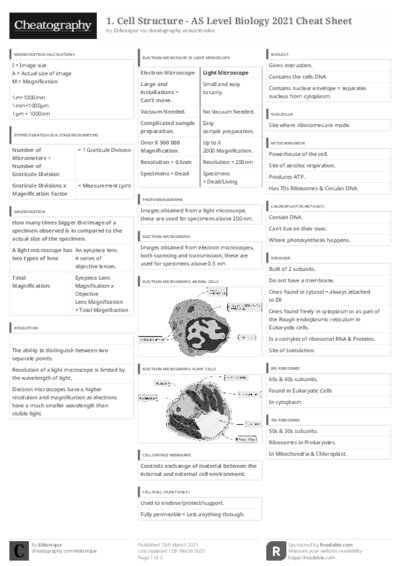 PDF (Black & white) — Style 3