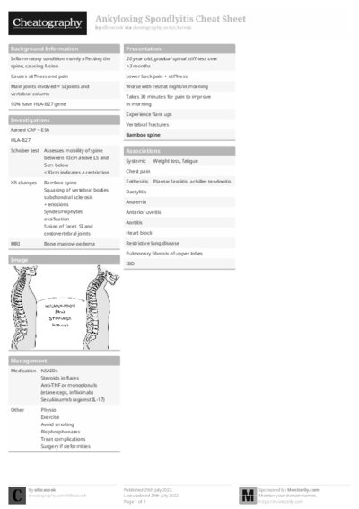 PDF (Black & white) — Style 1