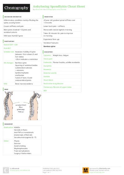 PDF (Colour) — Style 3
