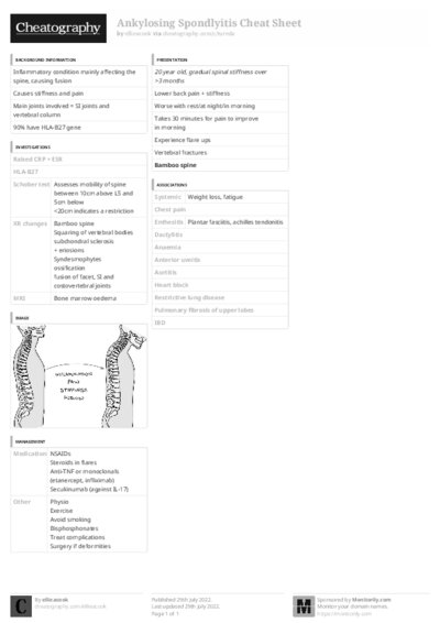 PDF (Black & white) — Style 3