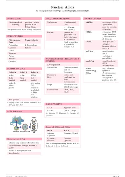 LaTeX (Compiled PDF)
