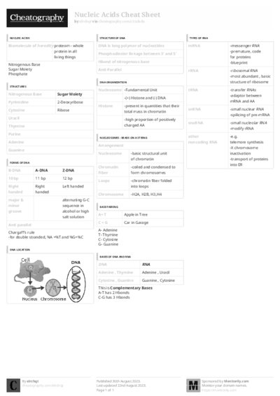 PDF (Black & white) — Style 3