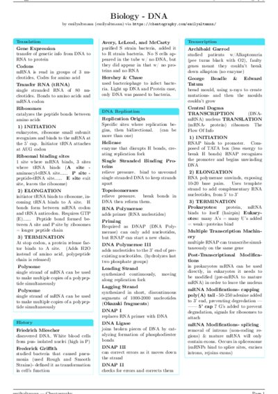 LaTeX (Compiled PDF)