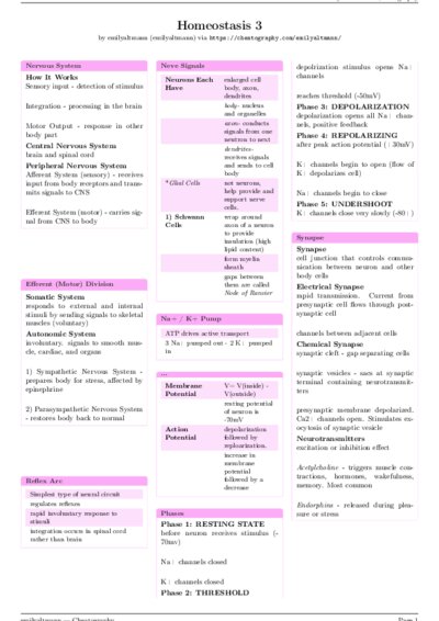 LaTeX (Compiled PDF)
