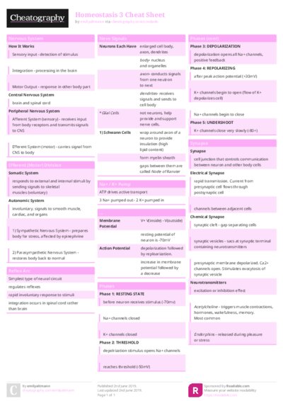 PDF (Colour) — Style 1