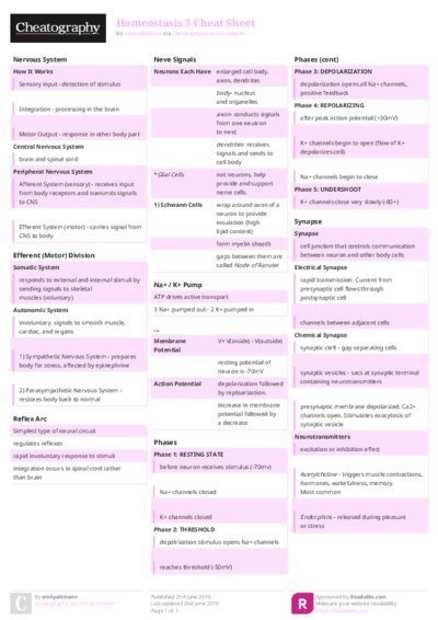 PDF (Colour) — Style 2