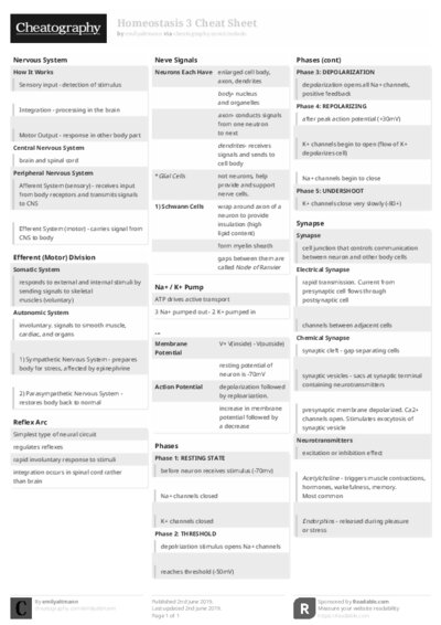 PDF (Black & white) — Style 2