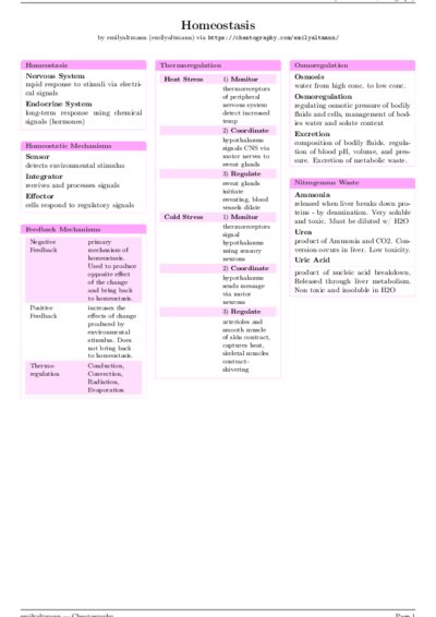 LaTeX (Compiled PDF)