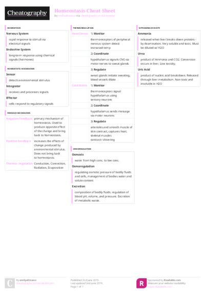 PDF (Colour) — Style 3