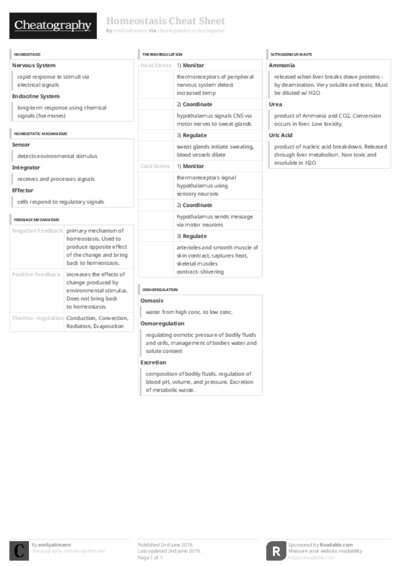 PDF (Black & white) — Style 3