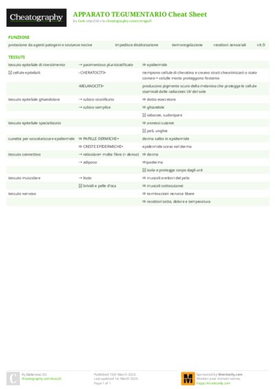 PDF (Colour) — Style 2