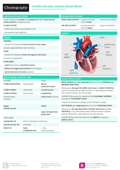 PDF (Colour) — Style 1