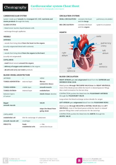 PDF (Colour) — Style 2