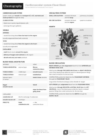 PDF (Black & white) — Style 2