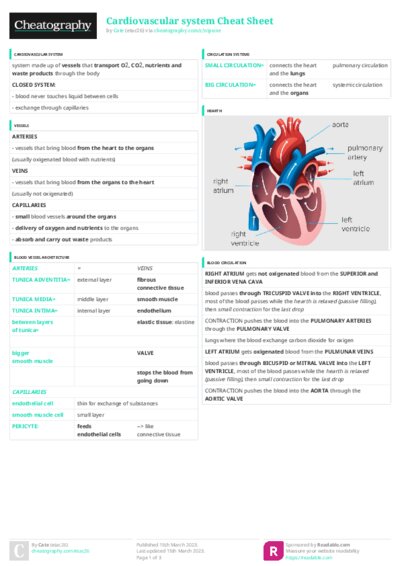 PDF (Colour) — Style 3