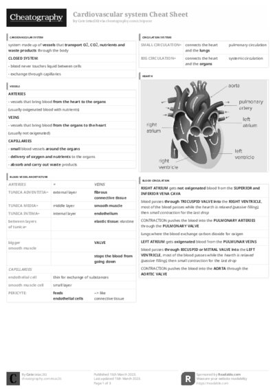 PDF (Black & white) — Style 3