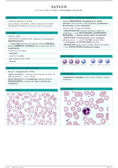 LaTeX (Compiled PDF)