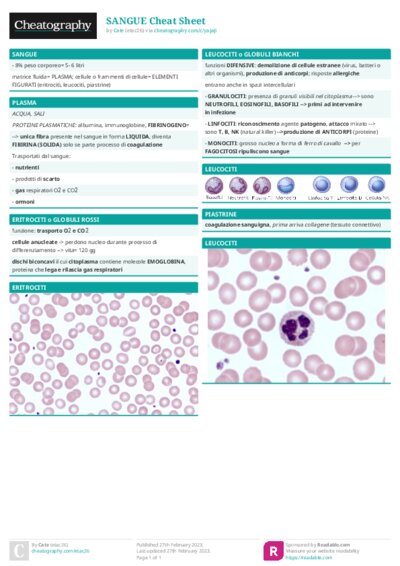 PDF (Colour) — Style 1