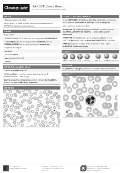 PDF (Black & white) — Style 1