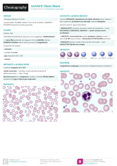 PDF (Colour) — Style 2