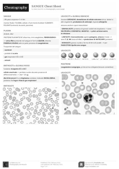 PDF (Black & white) — Style 2
