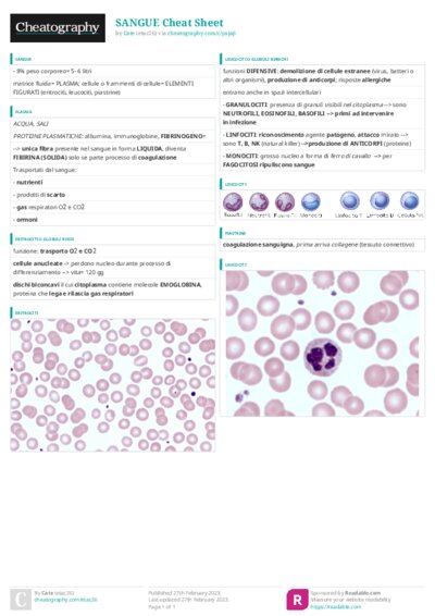 PDF (Colour) — Style 3