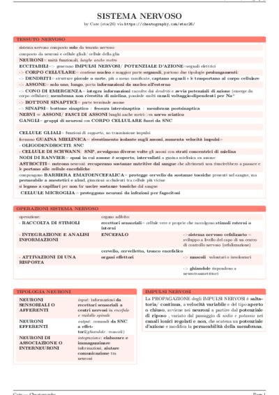 LaTeX (Compiled PDF)