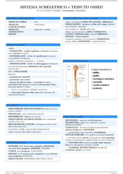 LaTeX (Compiled PDF)