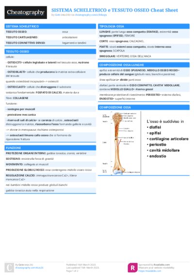 PDF (Colour) — Style 1