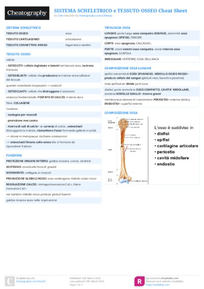PDF (Colour) — Style 2