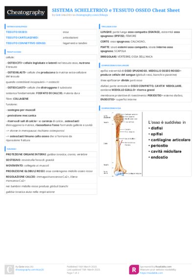 PDF (Colour) — Style 3