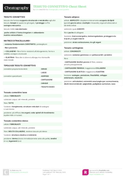 PDF (Colour) — Style 2