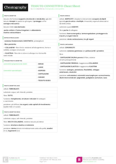 PDF (Colour) — Style 3