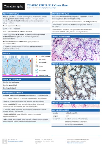 PDF (Colour) — Style 1
