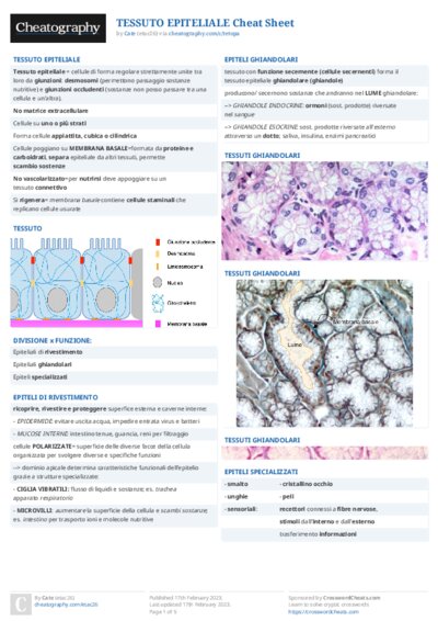 PDF (Colour) — Style 2