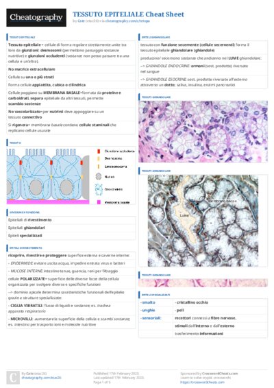 PDF (Colour) — Style 3