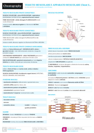 PDF (Colour) — Style 2
