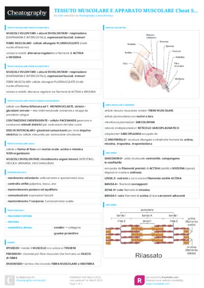 PDF (Colour) — Style 3