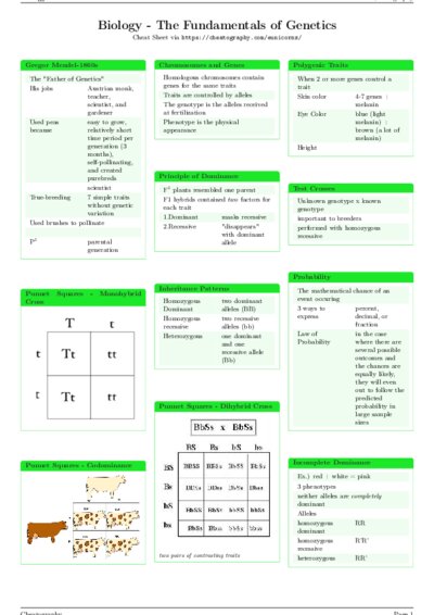 LaTeX (Compiled PDF)