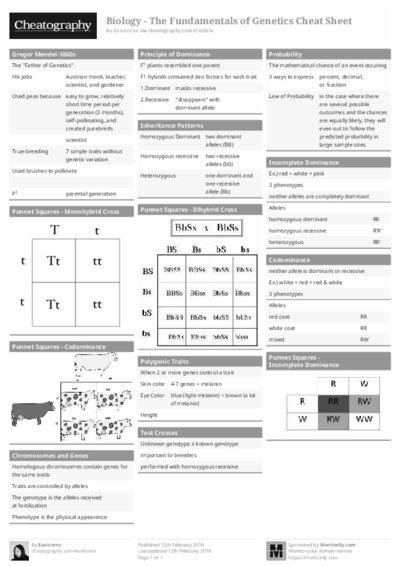 PDF (Black & white) — Style 1