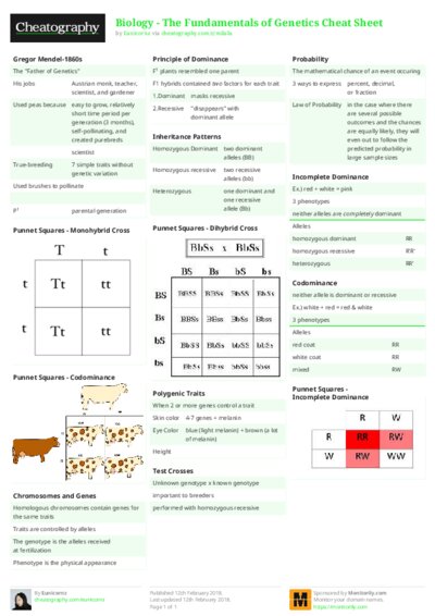 PDF (Colour) — Style 2