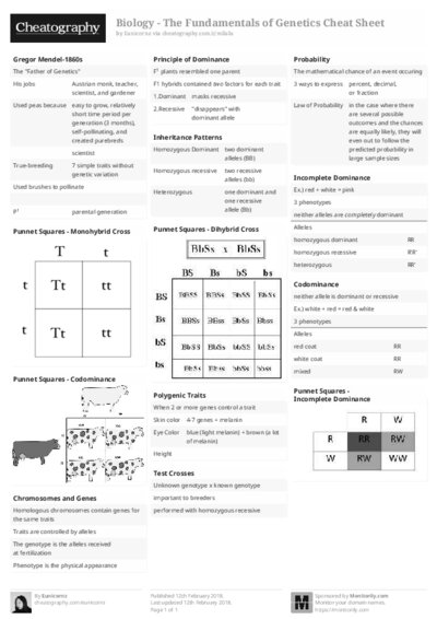 PDF (Black & white) — Style 2