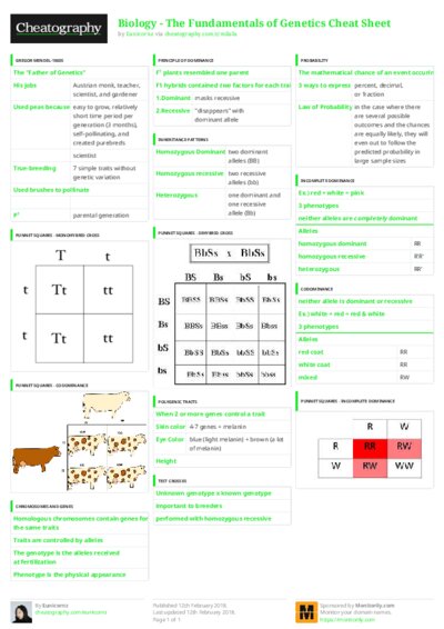 PDF (Colour) — Style 3