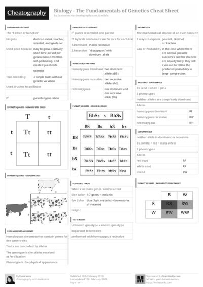 PDF (Black & white) — Style 3