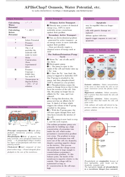 LaTeX (Compiled PDF)